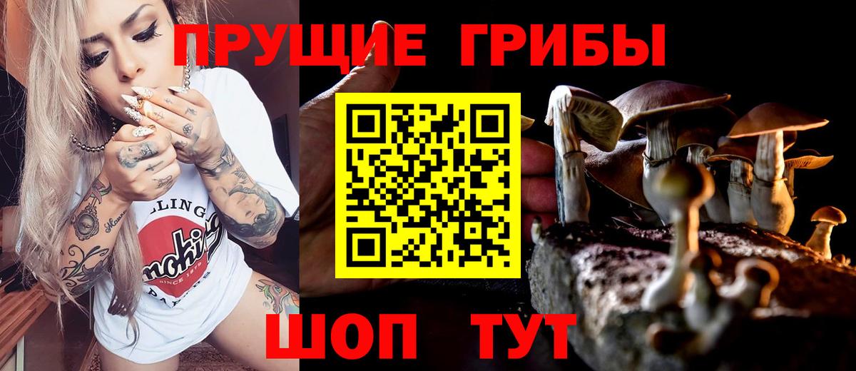 Мыски  где найти наркотики  Вход с VPN  Галлюциногенные грибы GOLDEN TEACHER 